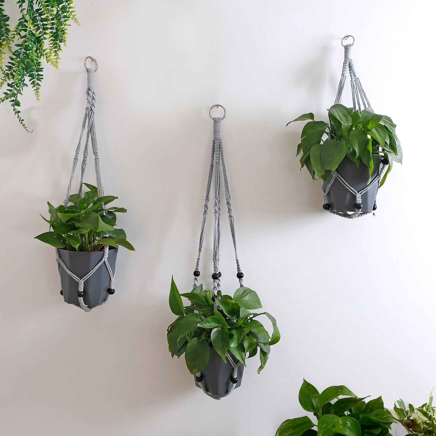 Macrame Cotton Rope Plants Hanging Pots Holder Stand - Set 3
